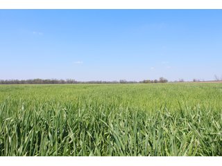 Property photo 31 - OKLAHOMA LAND AUCTION, 550+/- Acres offered in 7 Tracts